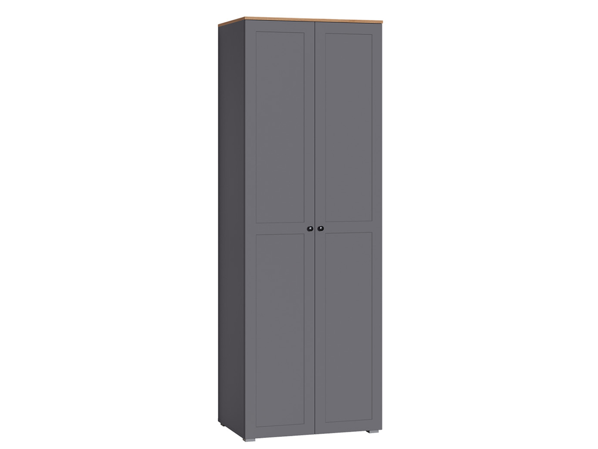 Шкаф 2-х дверный для одежды Остин Графит, Черный, ЛДСП 16 мм, МДФ 19 мм, ЛДСП